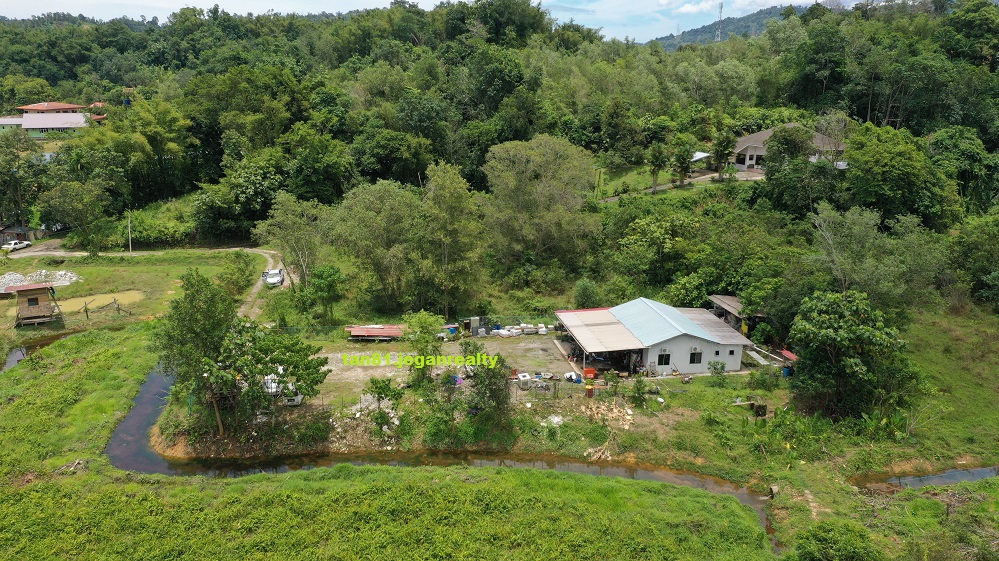 Penampang Kolopis (Single Detach House) Residential Land. NT0.25acs