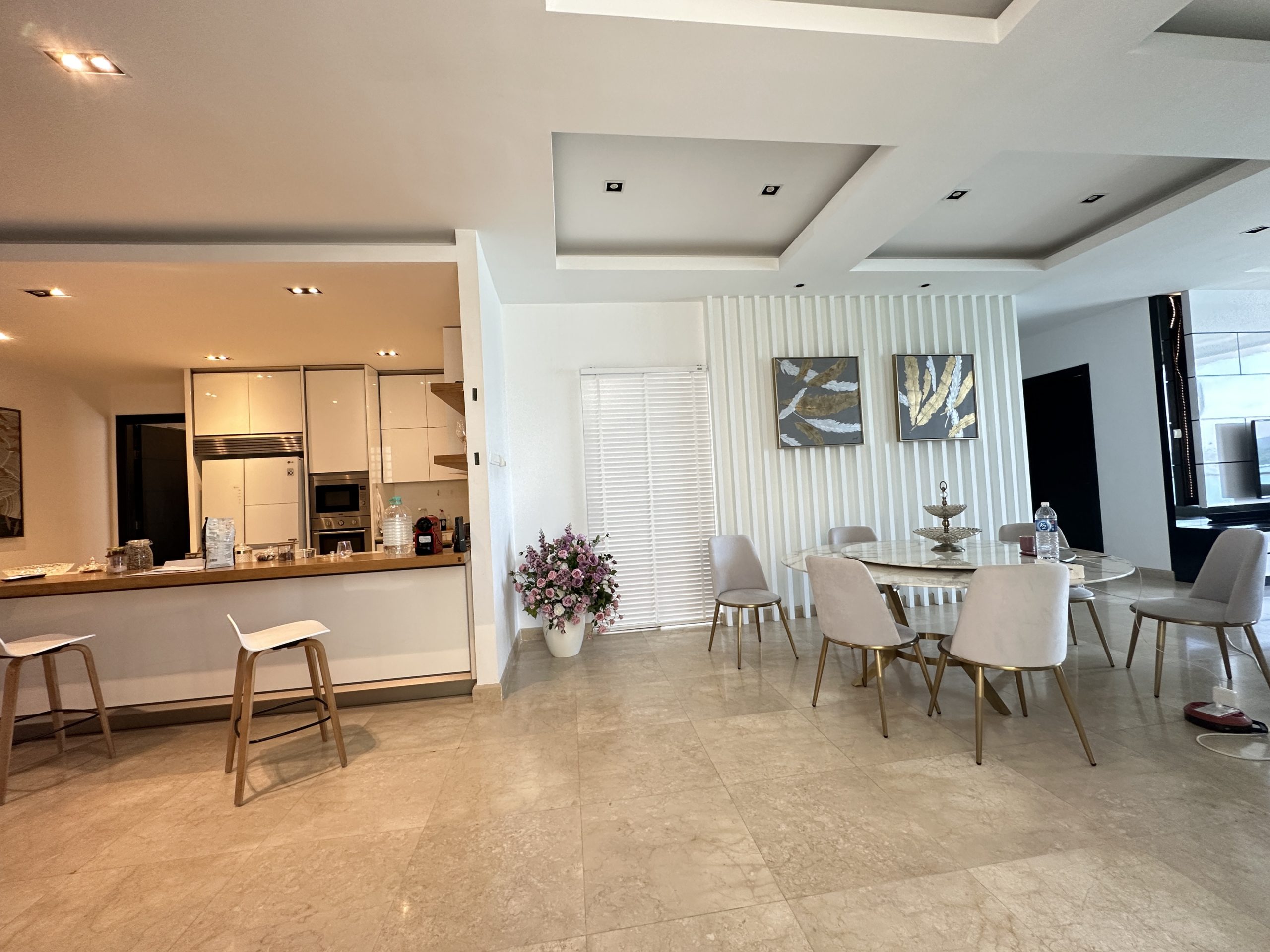 IMG_3611 PELAGOS PENTHOUSE WATERFRONT
