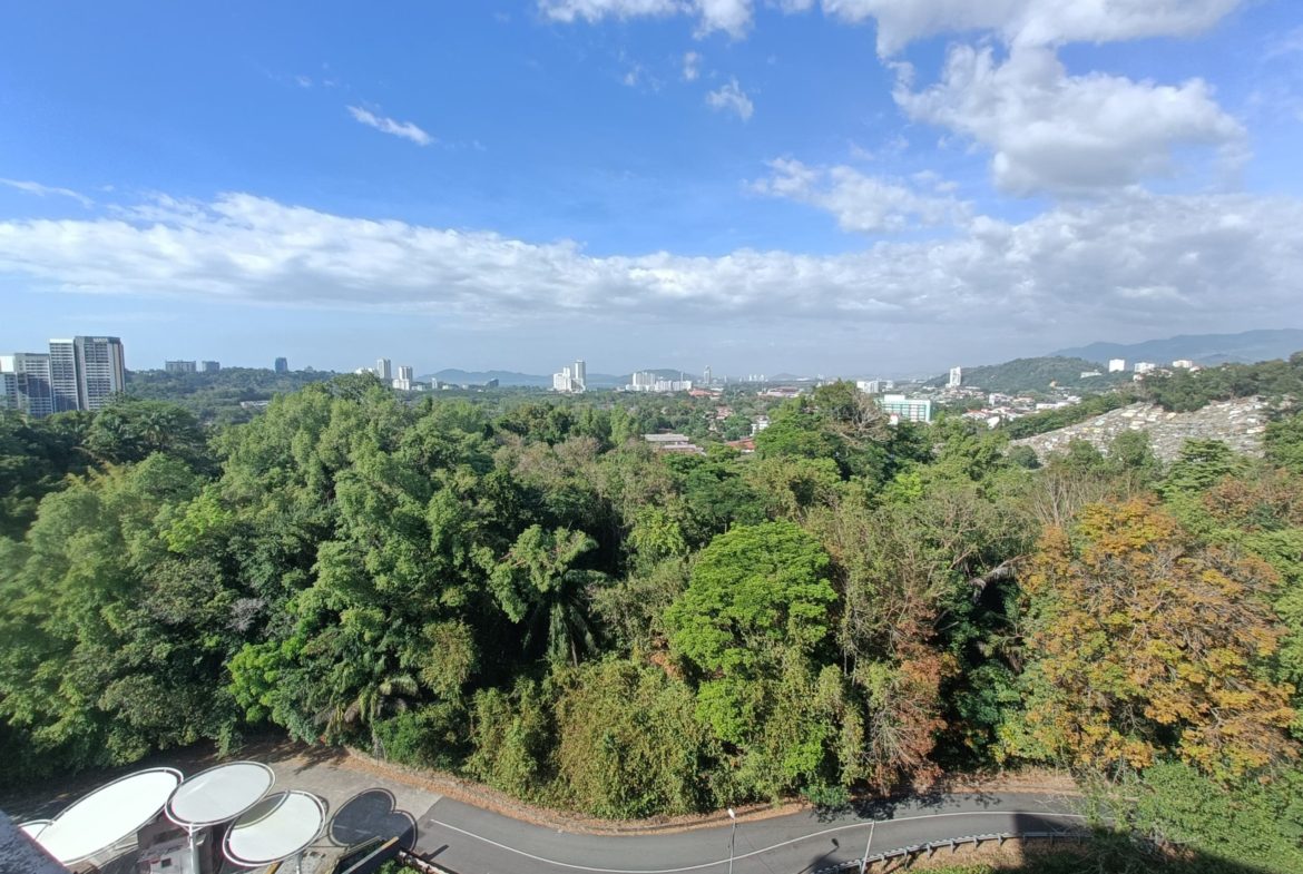 QE2 KPJ Luyang Alam Damai Penthouse For Rent