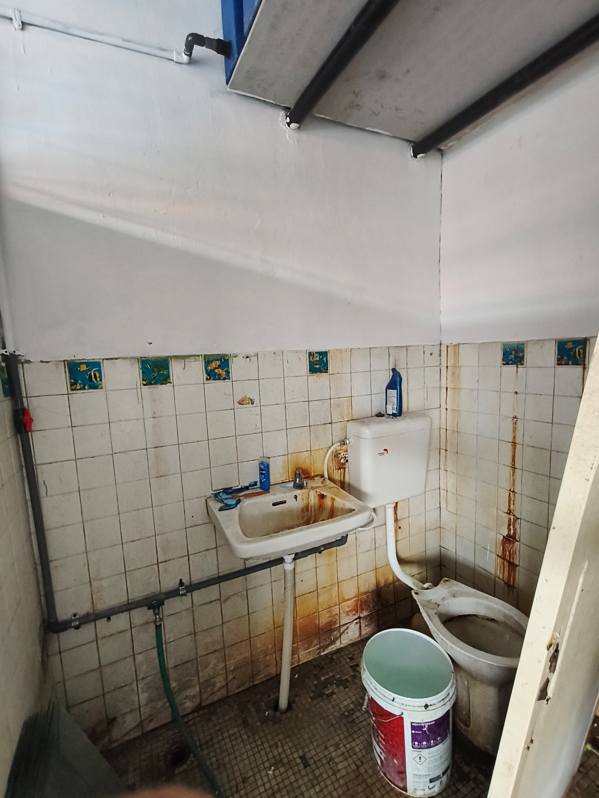 WhatsApp Image 2024-12-24 at 13.52.40 Kolombong Lorong Burung Keleto Jalan Tuaran Inanam 1st & Ground Floor Shoplot For Rent
