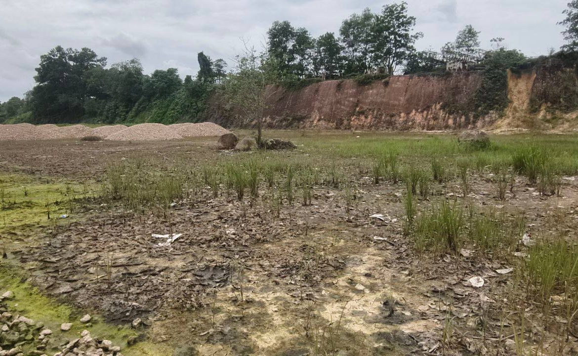 Tanjung Pelepas Medium Industrial Land For Sale