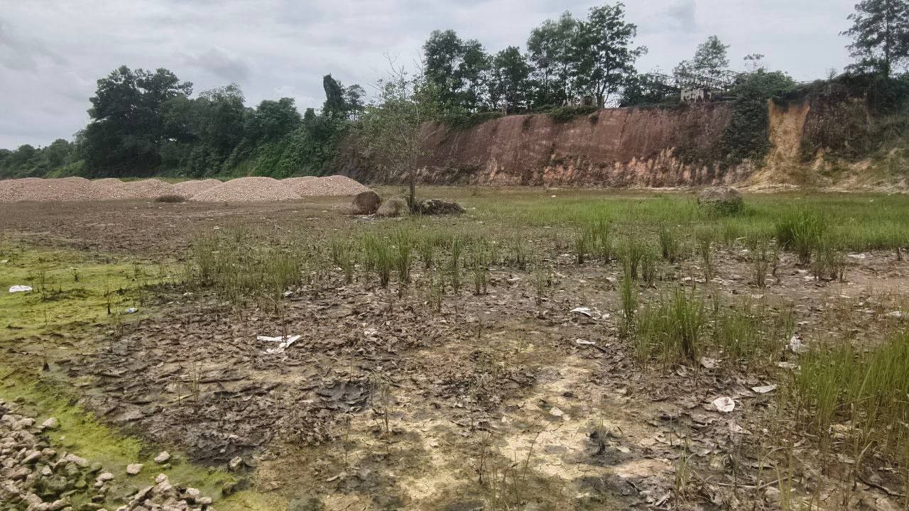 Tanjung Pelepas Medium Industrial Land For Sale