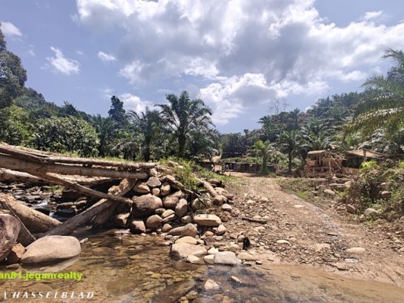 Beaufort Ulu Mambakut (Nearby Forest Reserve) Abandoned Palm Oil Land. CL/NT 365acs  ((( FOR SALE )))