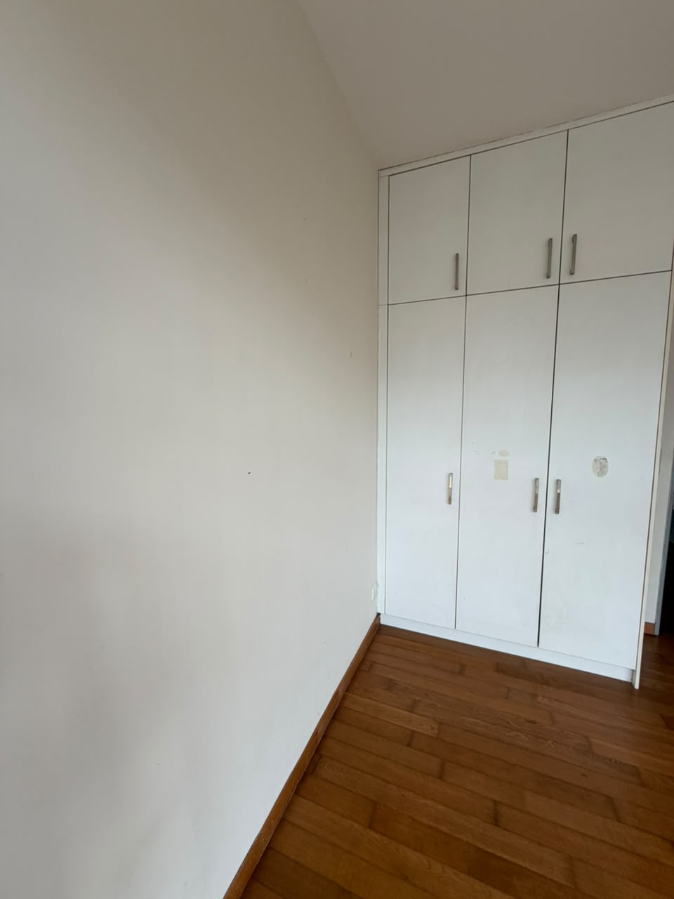 The Seed / Sutera / Townhouse