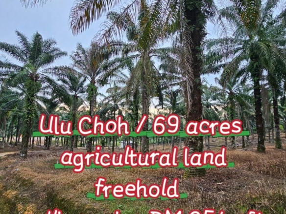 Ulu Choh / Agricultural Land