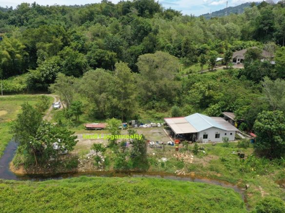 Penampang Kolopis (Single Detach House) Residential Land. NT0.25acs