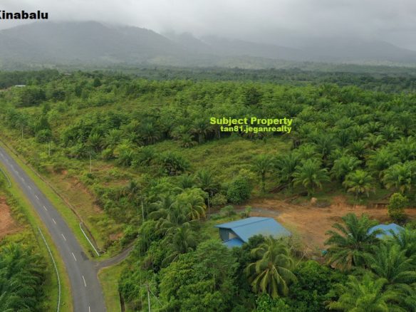 Kota Belud Rosok (Mt Kinabalu View) Vacant Small hill Land CL146acs (((For Sale)))
