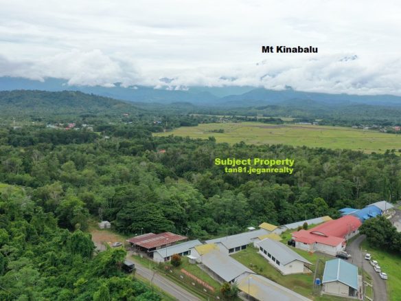 Kota Belud Tempasuk (Mt Kinabalu & Paddy View) ) Vacant Small hill Land CL18acs (((For Sale)))