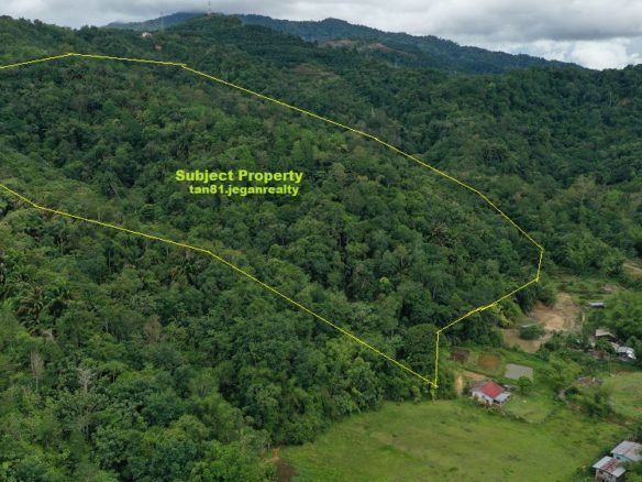 Penampang Kimolingan (999yrs) Vacant Land PL12acs