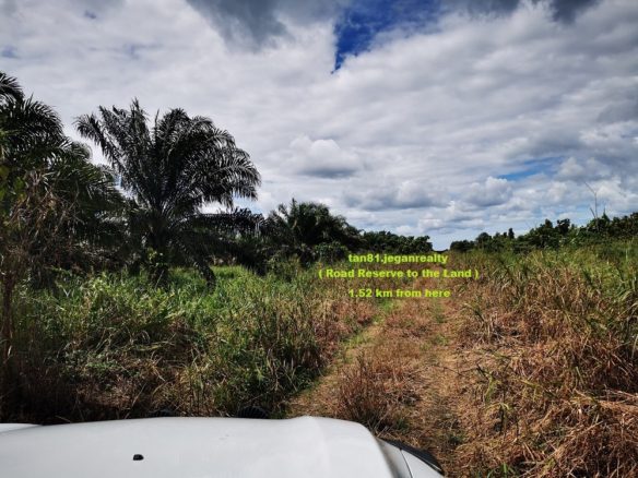 Beaufort Selagon Flat Vacant Land (Nearby Forest Reserve & Shop lot) CL300acs