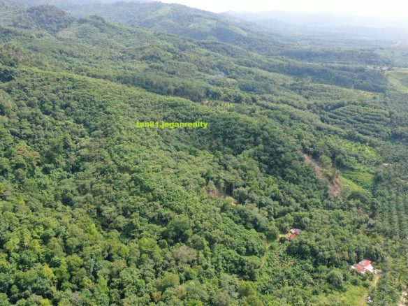 Tenom Lagud Small hill ( Vacant) agriculture Land CL30acs