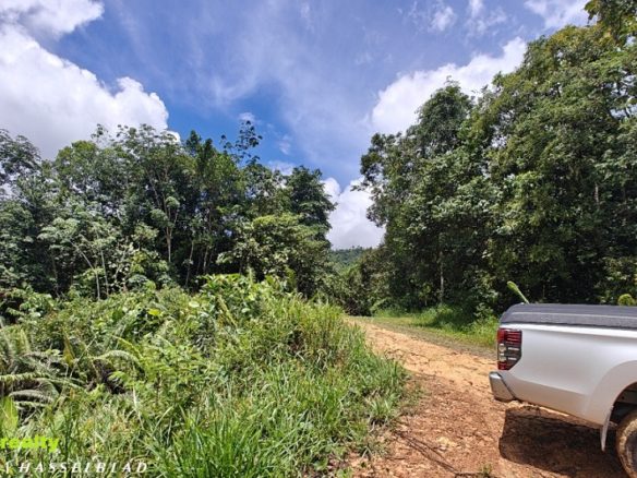 Ulu Kimanis Papar Kg Masalak (Small Hill) Rubber Land . CL19acs  ((( For Sale )))